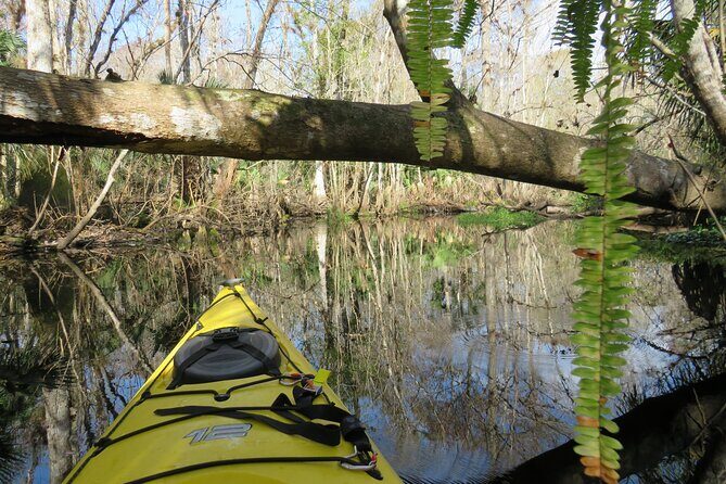 Exclusive Nature Escape Kayak Adventure on Blackwater Creek - Key things that make this Blackwater Creek kayak different