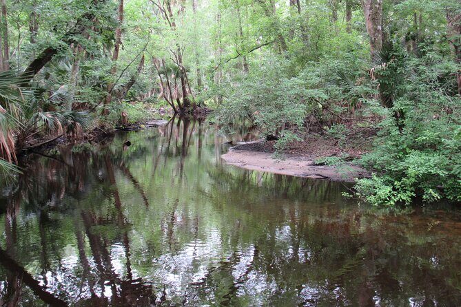 Exclusive Nature Escape Kayak Adventure on Blackwater Creek - Meeting point and timing: Bear Pond Trailhead at 9:00 am