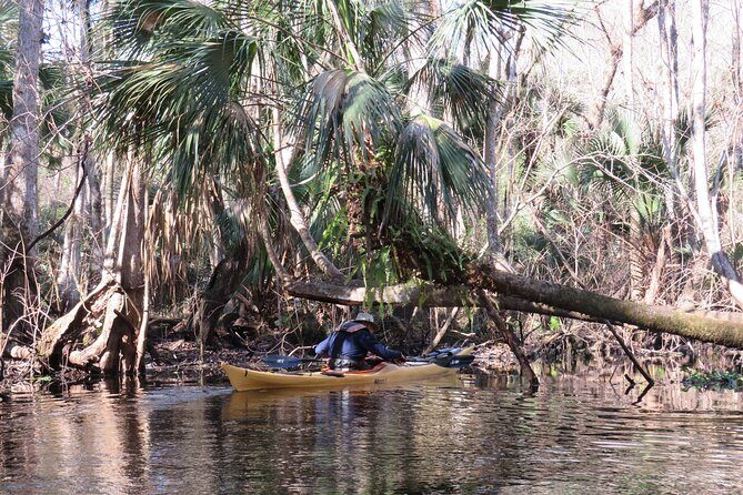 Exclusive Nature Escape Kayak Adventure on Blackwater Creek - Guides that make the day feel personal (including Astrid and Brian)