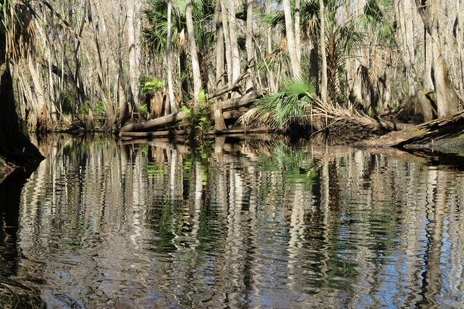 Exclusive Nature Escape Kayak Adventure on Blackwater Creek - Included comfort items: gear, snack, and water