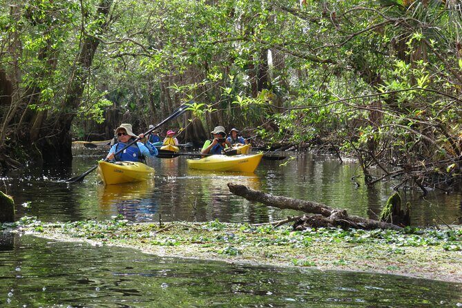 Exclusive Nature Escape Kayak Adventure on Blackwater Creek - What to wear and bring so you’re not miserable later