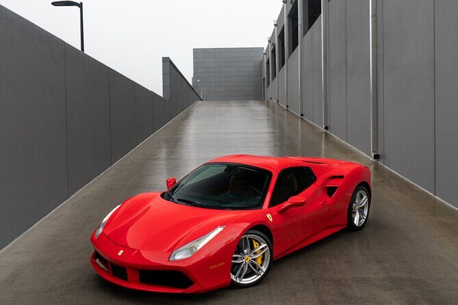 Exotic Car rental in Orlando - Picking the Right Exotic Car in Orlando: Lamborghini, Ferrari, and More