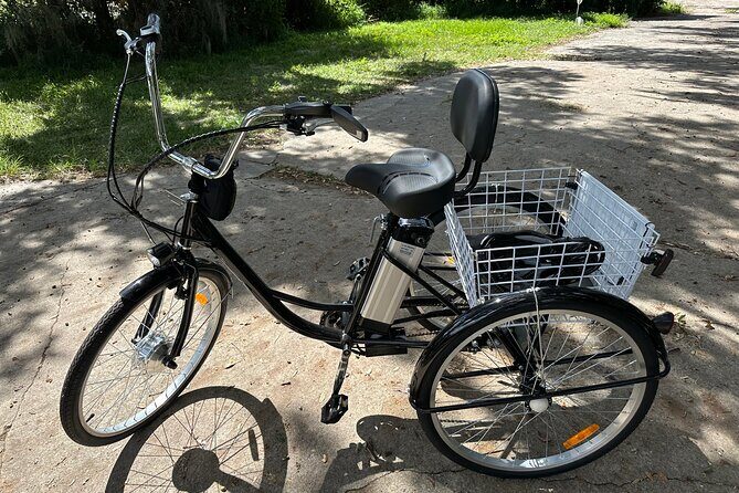 Experience Wild Florida Nature Up Close on Electric Trike (2 hrs) - Key things you’ll notice on this electric trike ride