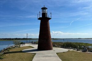 Experience Wild Florida Nature Up Close on Electric Trike (2 hrs) - Wildlife on the lakefront: what you can realistically hope to see
