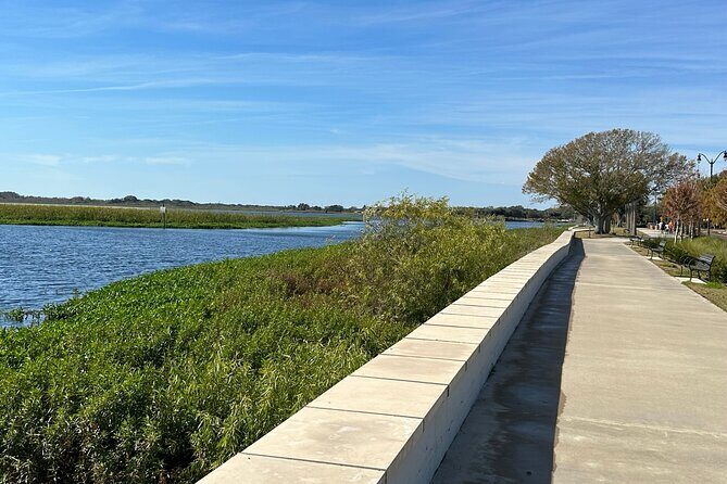Experience Wild Florida Nature Up Close on Electric Trike (2 hrs) - Stop 4: heading back up the lakefront trail and using your eyes on the ride home