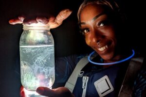 Florida Bioluminescent Kayak & Paddle Board Adventure - Before you push off: gear, safety talk, and bug strategy