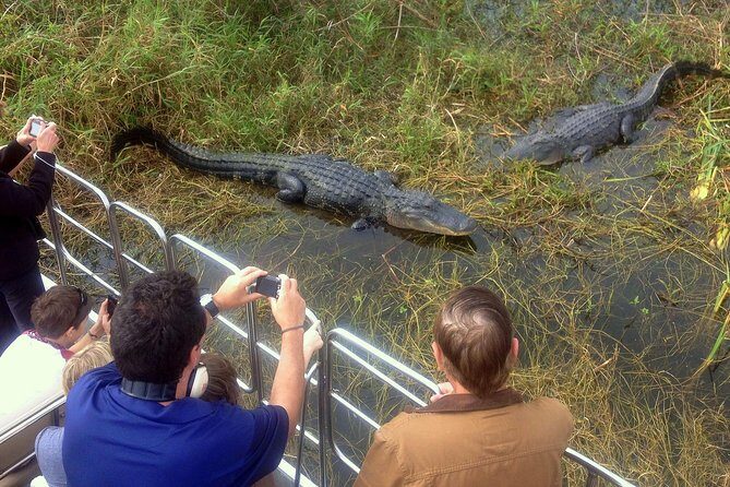 Florida Everglades Airboat Tour and Wild Florida Admission with Optional Lunch - Gator Park after the ride: 200+ animals, feeding, and petting-zoo fun