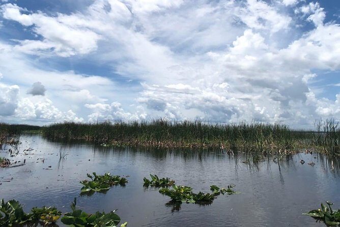 Florida Everglades Airboat Tour and Wild Florida Admission with Optional Lunch - What to wear and bring: small prep, big comfort