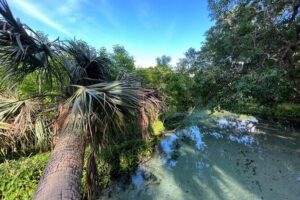 Florida paddle excursions - Meeting point and gear: what to expect when you arrive