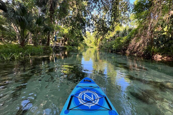 Florida paddle excursions - Breaks for swims, wading, and photos along the spring run
