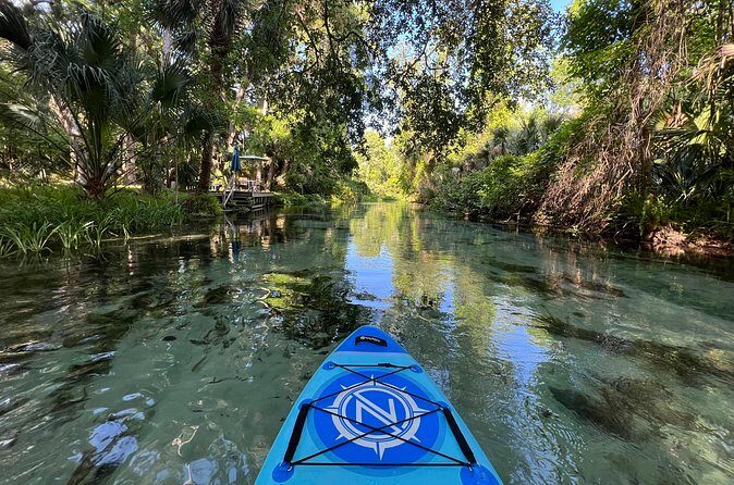 Florida paddle excursions - Nature talk that’s actually useful: flora, fauna, and local history