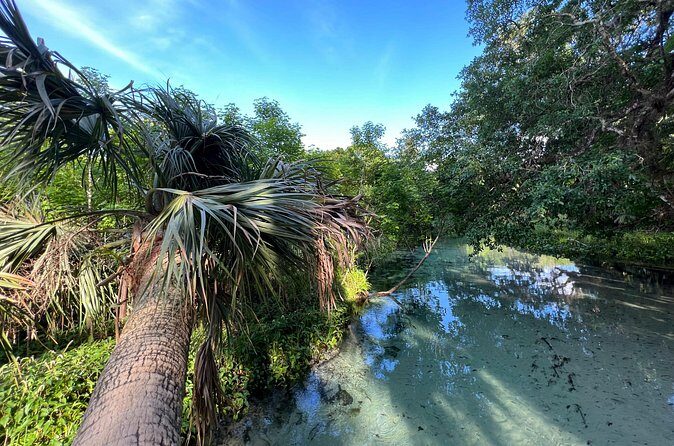 Florida paddle excursions - Turning around and floating back: why the ending feels good