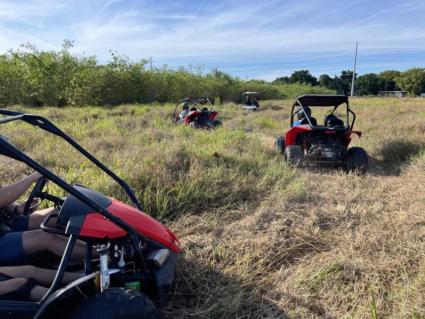 Fort Meade: Bamboo Dune Buggy Tour - Should You Book the Fort Meade Bamboo Dune Buggy Tour?