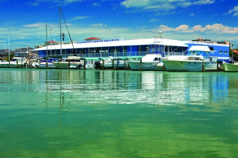 From Orlando: Clearwater Beach and Marine Aquarium Admission - The Clearwater Beach pairing that actually works