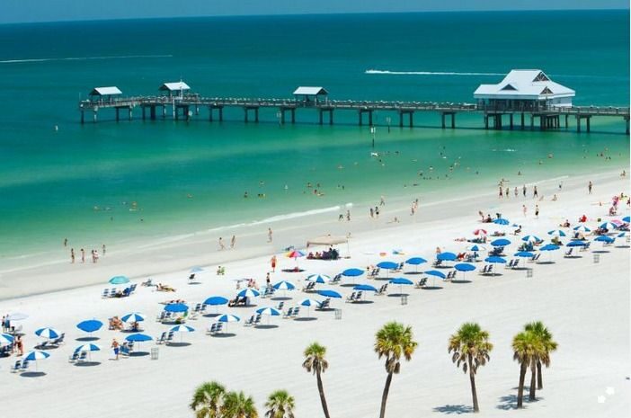 From Orlando: Clearwater Beach and Marine Aquarium Admission - Underwater viewing platforms and roofless dolphin pools
