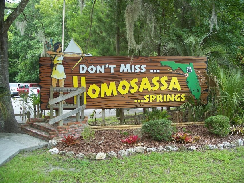 From Orlando: Manatee Snorkel Tour with Lunch & Hotel Pickup - Snorkeling With Manatees: What the Water Time Actually Feels Like