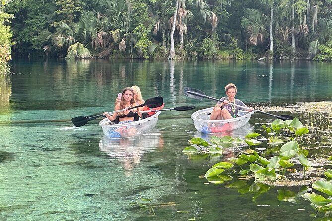 Gator Viewing Clear Kayak Springs Tour - Key highlights to know before you go