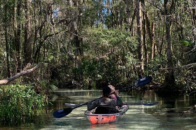 Glass Bottom Kayak Eco Tour through Rainbow Springs - Key things worth knowing before you go