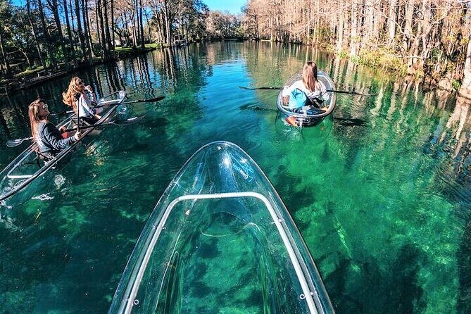 Glass Bottom Kayak Eco Tour through Rainbow Springs - Who this tour fits best (and who might struggle)