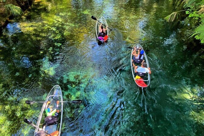 Glass Bottom Kayak Tours of Silver Springs - Key highlights you’ll feel immediately