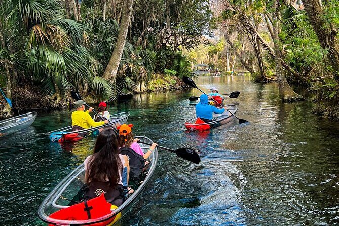 Glass Bottom Kayak Tours of Silver Springs - Why a glass-bottom kayak makes Silver Springs easier to love