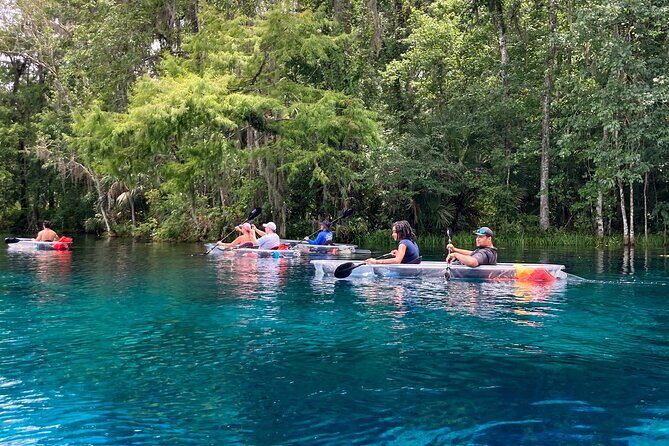 Glass Bottom Kayak Tours of Silver Springs - Small-group energy and the guides who get praise