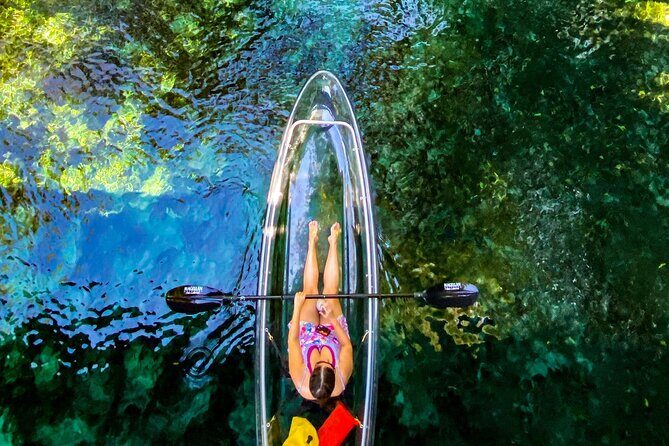 Glass Bottom Kayak Tours of Silver Springs - Logistics that matter: timing, meeting point, and park crowds