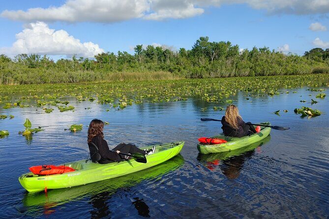 Guided Kayaking Manatee Tour near Orlando - Why the St. Johns River Manatee Season Feels Different