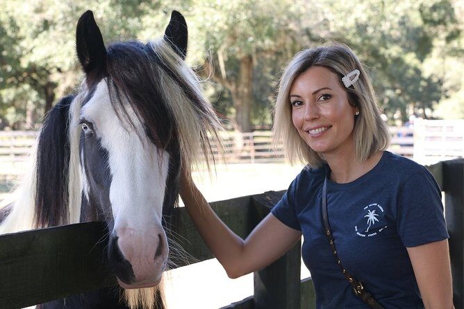 Gypsy Gold Horse Farm Tour - What the included photo is really doing for you
