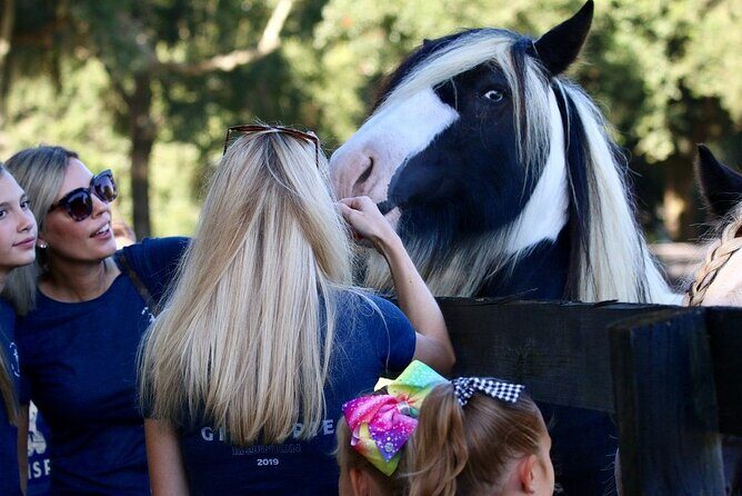 Gypsy Gold Horse Farm Tour - Gypsy Gold gift shop: souvenirs that fit the theme