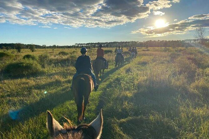 Horseback Ride on Scenic Lake Louisa Trails - Key things worth knowing