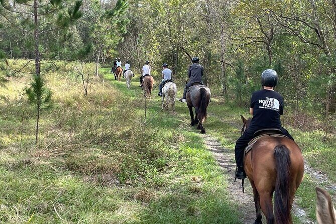 Horseback Ride on Scenic Lake Louisa Trails - Lake Louisa on Horseback: Why This Ride Feels Calm and Personal