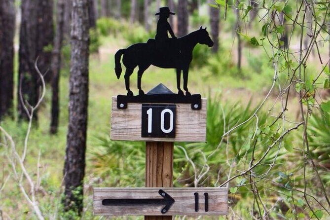 Horseback Ride on Scenic Lake Louisa Trails - What You’ll Learn on the Way: Nature, Edible Plants, and Park Stories