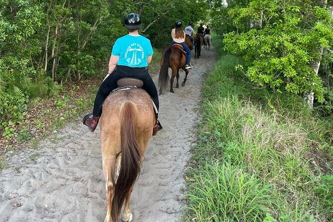 Horseback Ride on Scenic Lake Louisa Trails - Your Horses and Your Guides: Beginner Support and Personality-First Matching