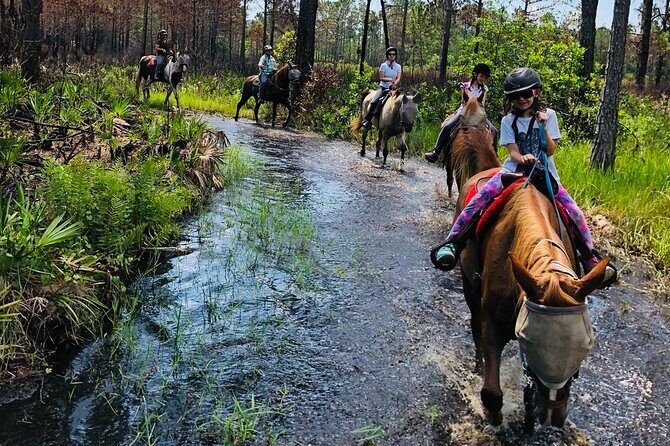 Horseback Ride on Scenic Lake Louisa Trails - Who Should Book This and Who Should Skip It