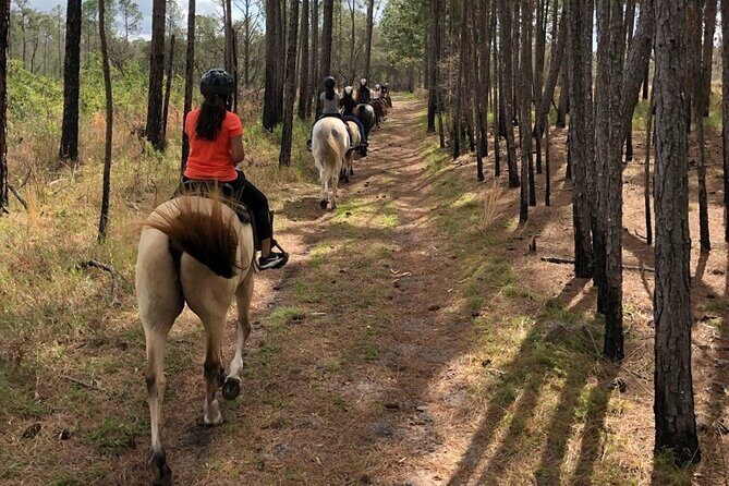 Horseback Ride on Scenic Lake Louisa Trails - Meeting at Lake Louisa State Park: Timing, Group Size, and What’s Included