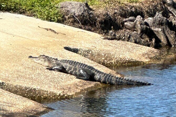 Kissimmee and St. Cloud Beach Tour on All Electric Trike (4 hrs.) - Key Points You’ll Care About