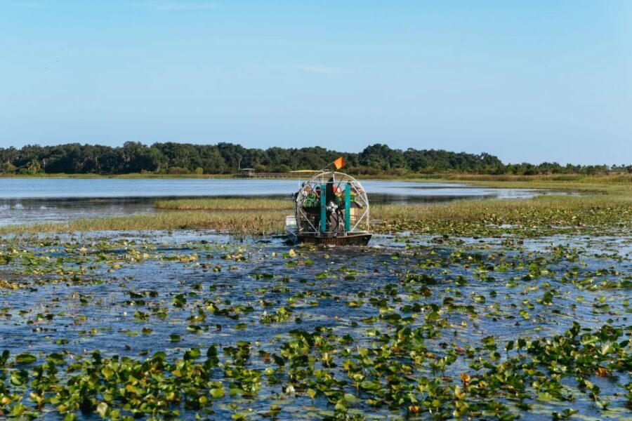 Kissimmee: Everglades Airboat Adventure Tour - Key Highlights You’ll Care About