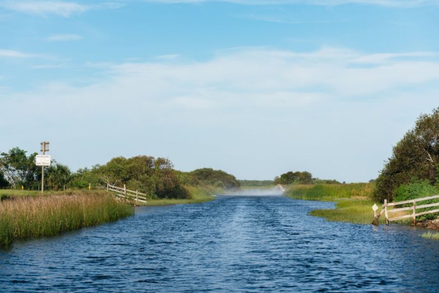 Kissimmee: Everglades Airboat Adventure Tour - Wildlife Spotting Without Guesswork: How to Improve Your Chances