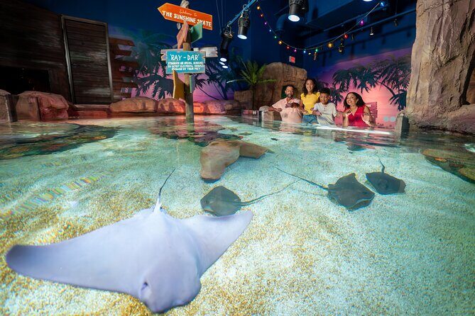 LEGOLAND Florida Theme Park Admission Tickets - SEA LIFE Aquarium Florida: The Indoor Reset Your Day Might Need