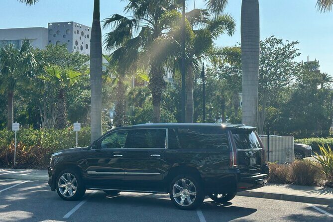 Luxurious Airport Transfers Orlando Airport to Orlando Resorts - Mobile Ticket and Communication: Small Things That Save Time