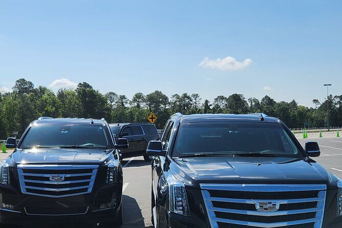 Luxury Transfers Orlando Airport to Disney Resort Area - Price and value: why $55 per person can be worth it