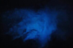 Magic After Dark Bioluminescence Kayak Tour Orlando - The Pre-Night Kayak Lesson That Actually Helps
