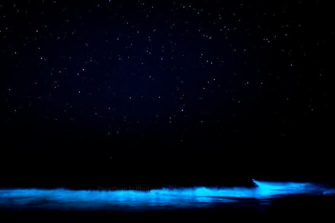 Magic After Dark Bioluminescence Kayak Tour Orlando - Timing for Peak Glow: Why Later Nights Feel Brighter