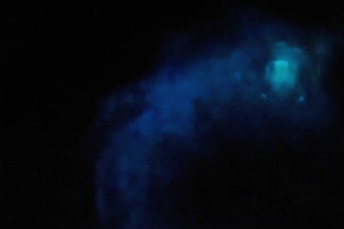 Magic After Dark Bioluminescence Kayak Tour Orlando - Bioluminescence Guarantee: What It Means for Your Expectations