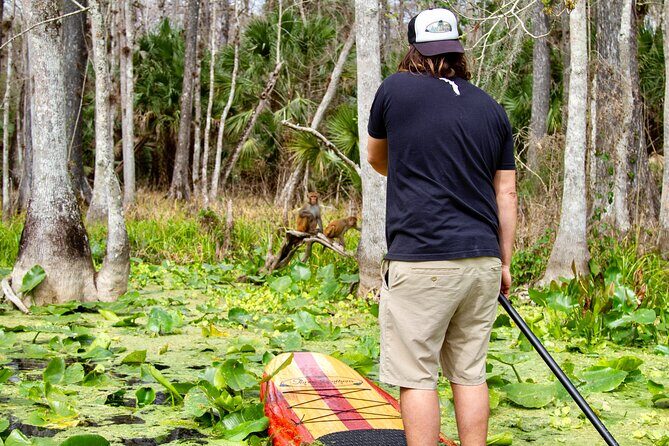Manatees, Monkeys and Florida Natural Spring Adventure Tour - The intro lesson: small skills that make the paddle feel easy