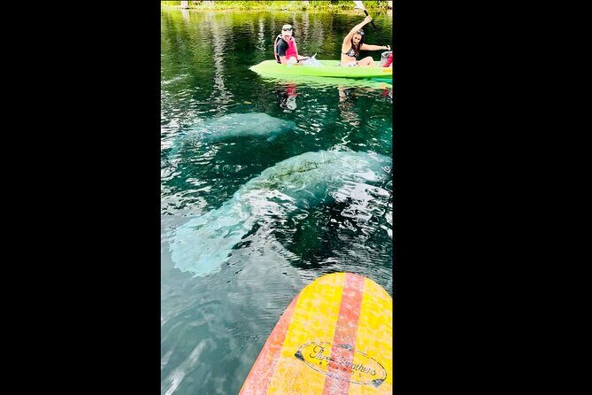 Manatees, Monkeys and Florida Natural Spring Adventure Tour - Group size, timing, and why it feels personal enough