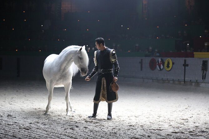 Medieval Times Dinner Show in Orlando - The Two-Hour Tournament: Jousting, Sword Fights, Horses, and Falconry