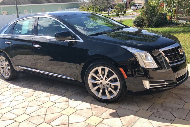 Orlando Airport MCO to Port Canaveral Luxury Sedan - From Luggage Carousel to the Front Door of Your Pier