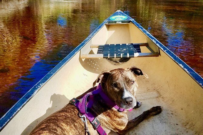 Orlando Alligator Experience - Getting to the launch and getting your bearings fast